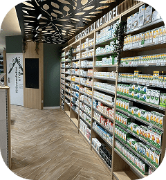 دراسات جدوي قطاع النقل والمواصلات